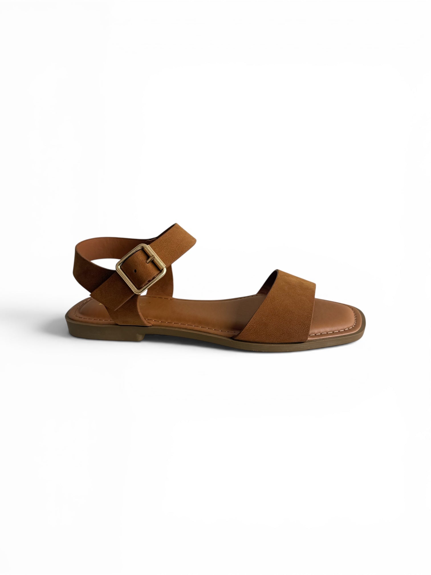 Renata Camel