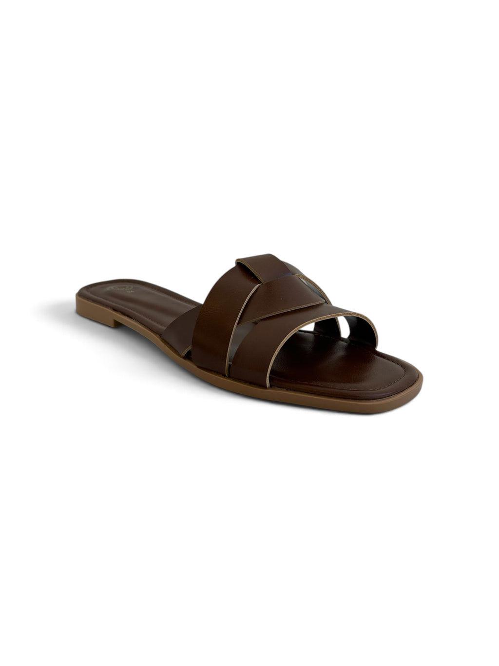 Venecia Camel