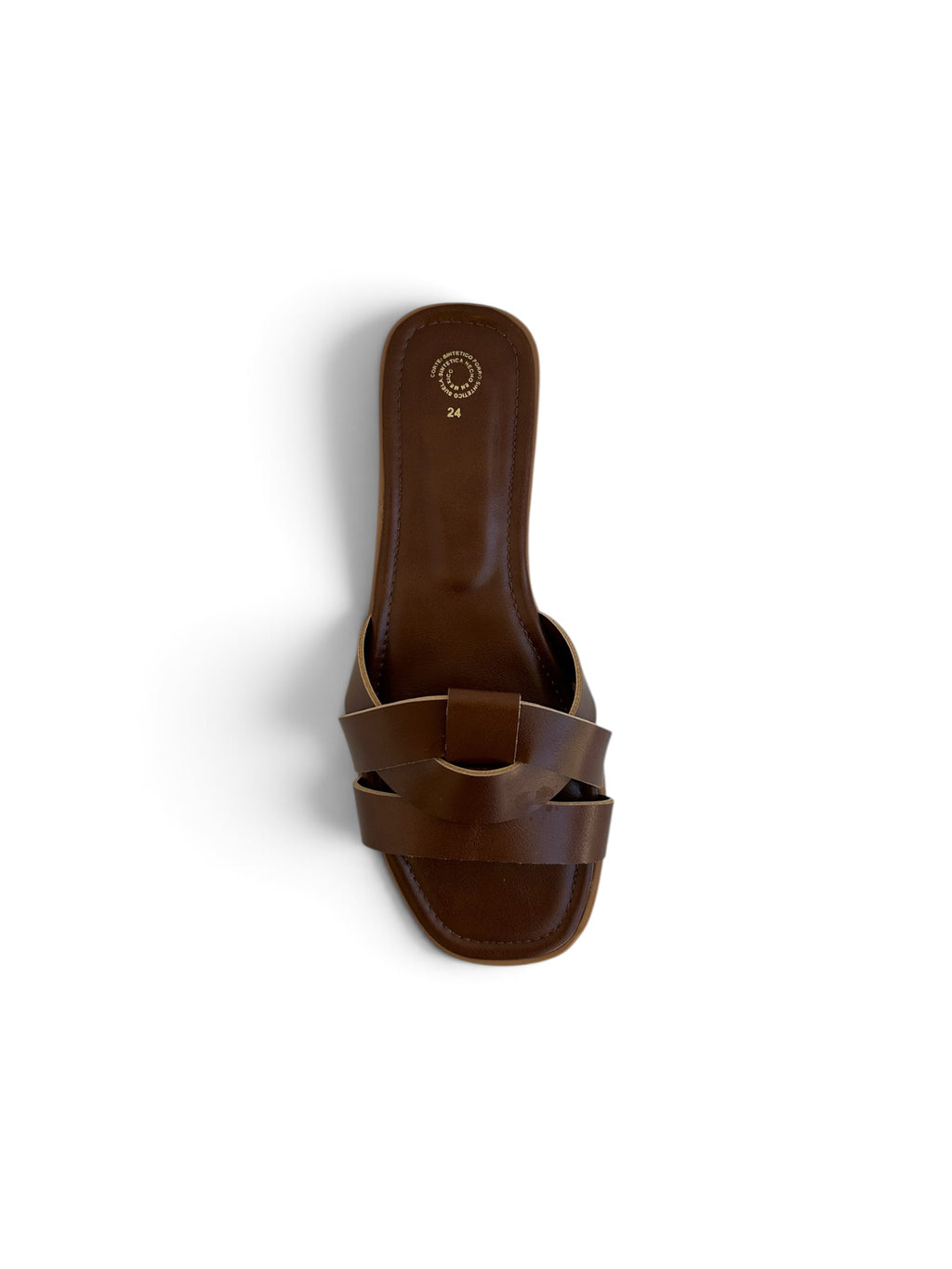 Venecia Camel
